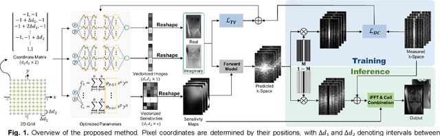 Figure 1 for IMJENSE: Scan-specific Implicit Representation for Joint Coil Sensitivity and Image Estimation in Parallel MRI