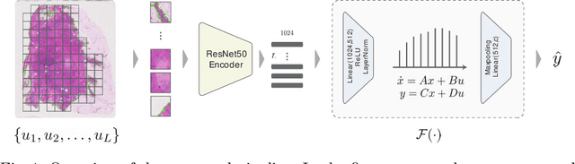 Figure 1 for Structured State Space Models for Multiple Instance Learning in Digital Pathology