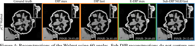 Figure 4 for Fast and Painless Image Reconstruction in Deep Image Prior Subspaces