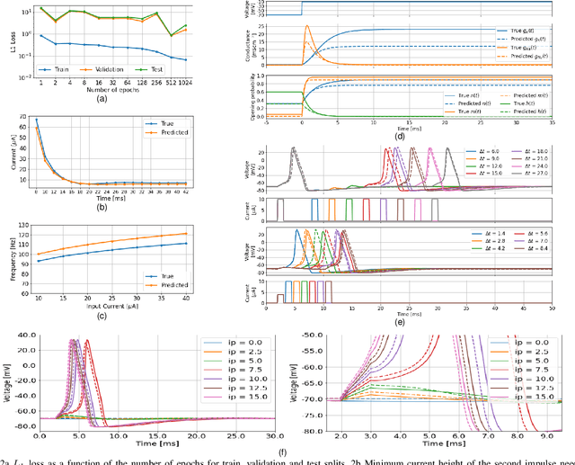 Figure 2 for Towards an Hybrid Hodgkin-Huxley Action Potential Generation Model