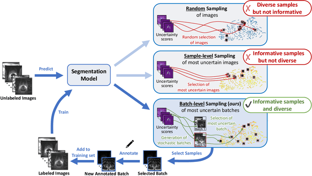 Figure 1 for Active learning for medical image segmentation with stochastic batches