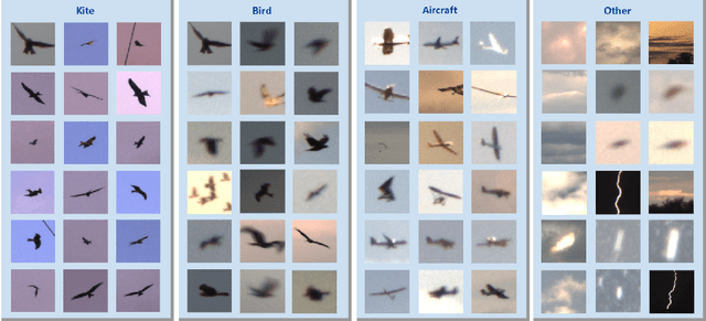 Figure 4 for BirdRecorder's AI on Sky: Safeguarding birds of prey by detection and classification of tiny objects around wind turbines