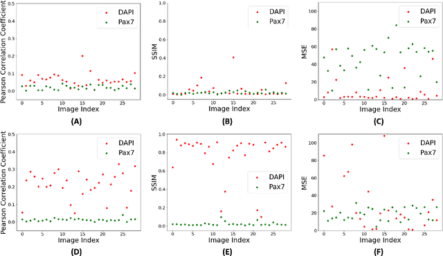 Figure 4 for Label-free prediction of fluorescence markers in bovine satellite cells using deep learning