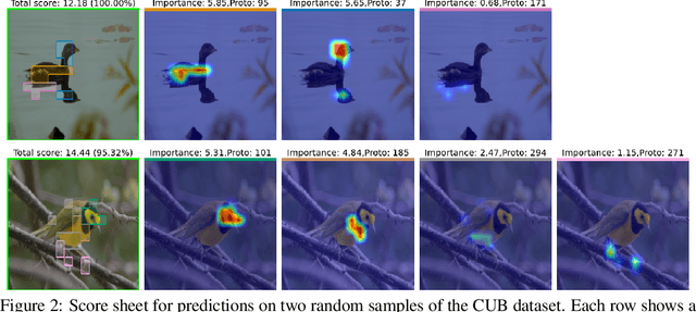 Figure 3 for ProtoS-ViT: Visual foundation models for sparse self-explainable classifications