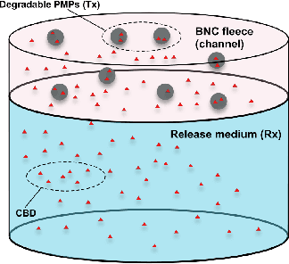 Figure 1 for Microparticle-based Controlled Drug Delivery Systems: From Experiments to Statistical Analysis and Design