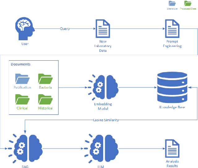 Figure 2 for ADAM-1: AI and Bioinformatics for Alzheimer's Detection and Microbiome-Clinical Data Integrations