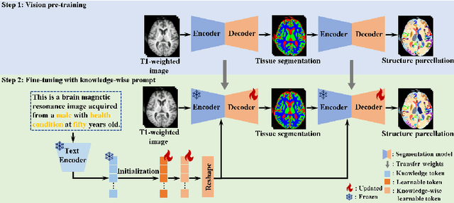 Figure 1 for Knowledge-Guided Prompt Learning for Lifespan Brain MR Image Segmentation