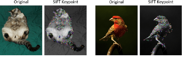 Figure 3 for Demystify Self-Attention in Vision Transformers from a Semantic Perspective: Analysis and Application