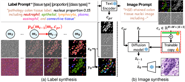 Figure 1 for Controllable and Efficient Multi-Class Pathology Nuclei Data Augmentation using Text-Conditioned Diffusion Models