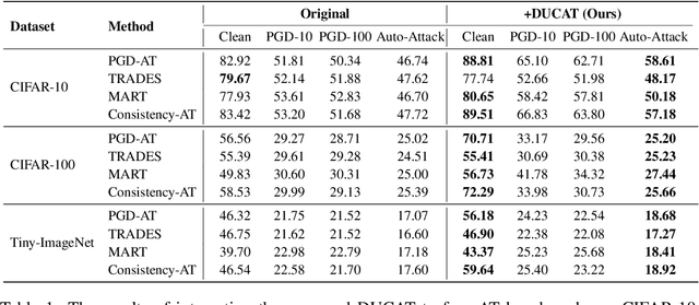 Figure 2 for New Paradigm of Adversarial Training: Breaking Inherent Trade-Off between Accuracy and Robustness via Dummy Classes