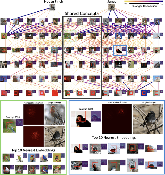 Figure 1 for Decompose the model: Mechanistic interpretability in image models with Generalized Integrated Gradients (GIG)