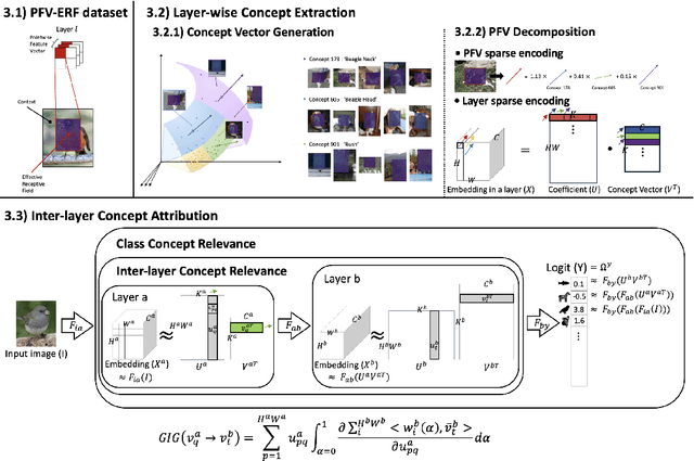 Figure 2 for Decompose the model: Mechanistic interpretability in image models with Generalized Integrated Gradients (GIG)