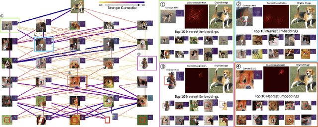 Figure 3 for Decompose the model: Mechanistic interpretability in image models with Generalized Integrated Gradients (GIG)