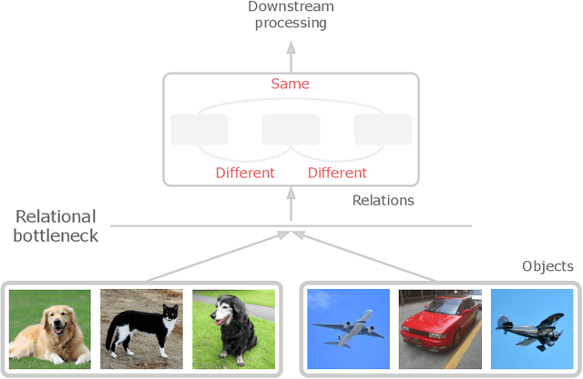 Figure 1 for The Relational Bottleneck as an Inductive Bias for Efficient Abstraction