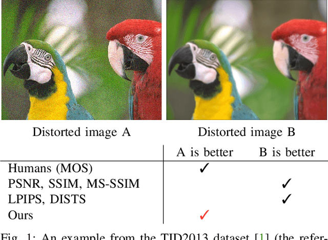 Figure 1 for TOPIQ: A Top-down Approach from Semantics to Distortions for Image Quality Assessment