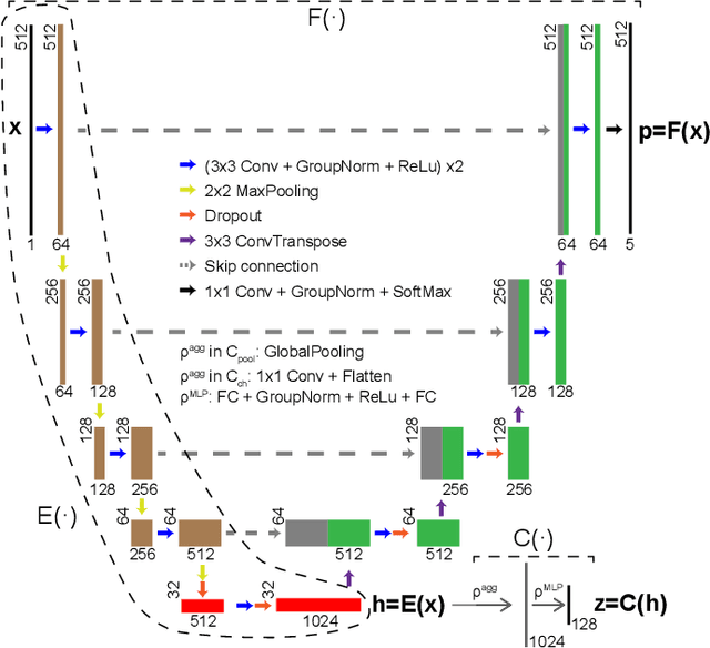 Figure 2 for Joint semi-supervised and contrastive learning enables zero-shot domain-adaptation and multi-domain segmentation