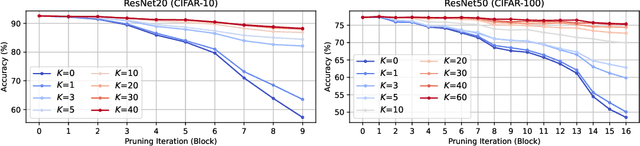 Figure 1 for Preserving Deep Representations In One-Shot Pruning: A Hessian-Free Second-Order Optimization Framework