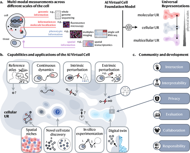 Figure 1 for How to Build the Virtual Cell with Artificial Intelligence: Priorities and Opportunities