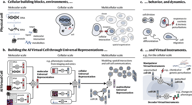 Figure 2 for How to Build the Virtual Cell with Artificial Intelligence: Priorities and Opportunities