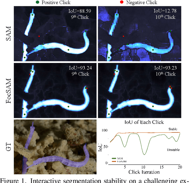 Figure 1 for FocSAM: Delving Deeply into Focused Objects in Segmenting Anything