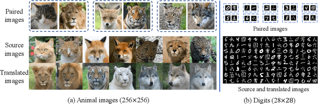 Figure 4 for Optimal Transport-Guided Conditional Score-Based Diffusion Models