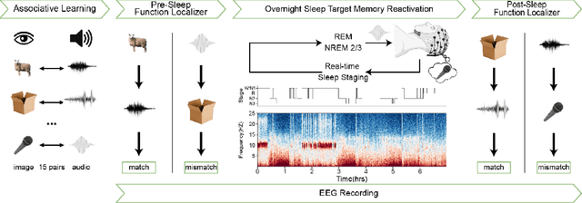 Figure 1 for Universal Sleep Decoder: Aligning awake and sleep neural representation across subjects