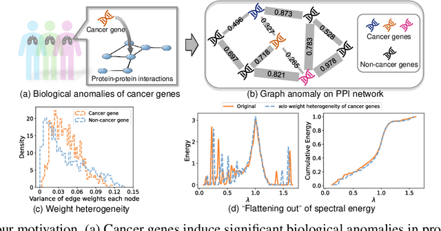 Figure 1 for Rethinking Cancer Gene Identification through Graph Anomaly Analysis