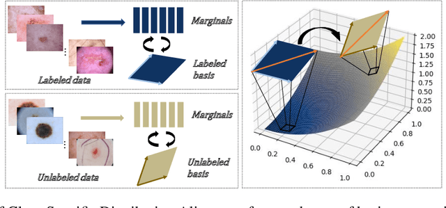 Figure 1 for Class-Specific Distribution Alignment for Semi-Supervised Medical Image Classification