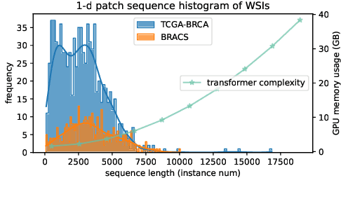 Figure 1 for Rethinking Transformer for Long Contextual Histopathology Whole Slide Image Analysis