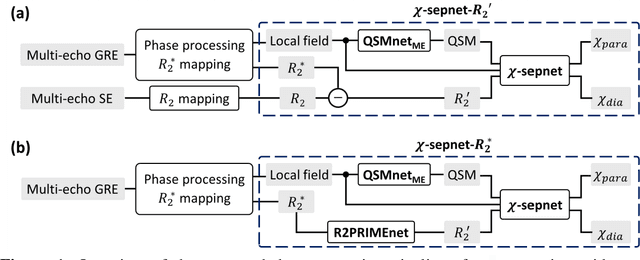 Figure 1 for $χ$-sepnet: Deep neural network for magnetic susceptibility source separation