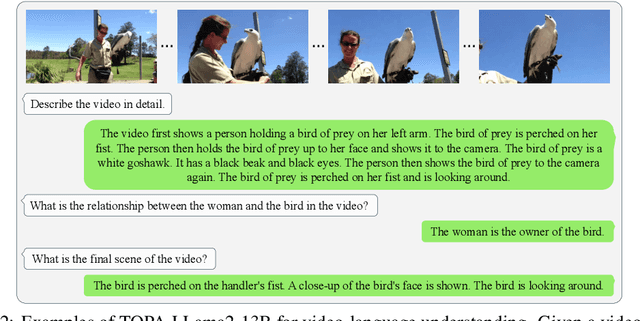 Figure 3 for TOPA: Extend Large Language Models for Video Understanding via Text-Only Pre-Alignment