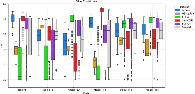Figure 3 for ASCHOPLEX encounters Dafne: a federated continuous learning project for the generalizability of the Choroid Plexus automatic segmentation