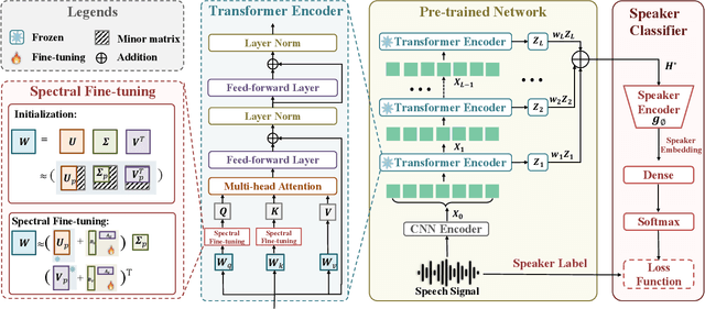 Figure 1 for Spectral-Aware Low-Rank Adaptation for Speaker Verification