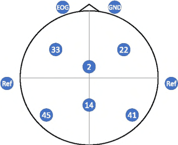 Figure 1 for Enhanced average for event-related potential analysis using dynamic time warping