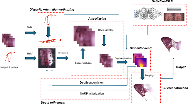 Figure 1 for Hybrid NeRF-Stereo Vision: Pioneering Depth Estimation and 3D Reconstruction in Endoscopy