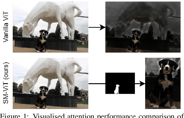 Figure 1 for Salient Mask-Guided Vision Transformer for Fine-Grained Classification