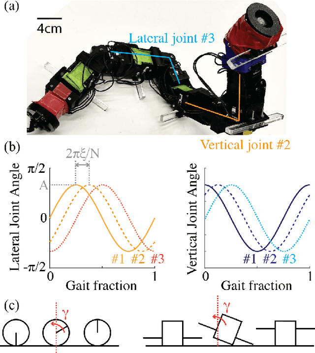 Figure 3 for Effective self-righting strategies for elongate multi-legged robots