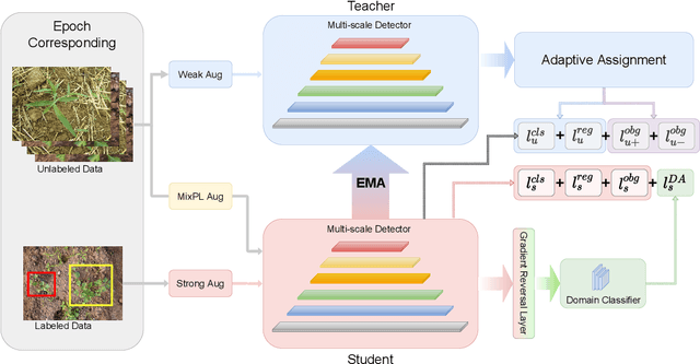 Figure 3 for Semi-Supervised Weed Detection for Rapid Deployment and Enhanced Efficiency