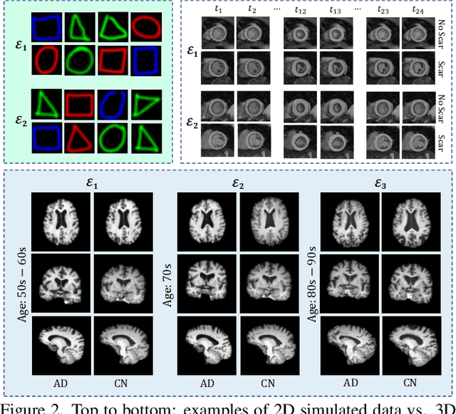 Figure 3 for Invariant Shape Representation Learning For Image Classification