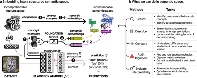 Figure 1 for Mechanistic understanding and validation of large AI models with SemanticLens