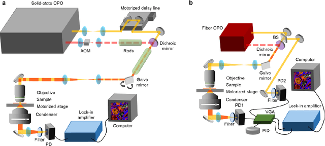 Figure 1 for High-content stimulated Raman histology of human breast cancer