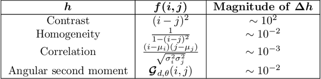 Figure 2 for Multi-Scale Texture Loss for CT denoising with GANs