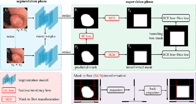 Figure 3 for WeakPolyp: You Only Look Bounding Box for Polyp Segmentation