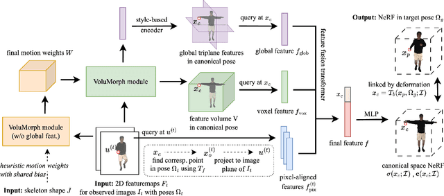 Figure 2 for HumMorph: Generalized Dynamic Human Neural Fields from Few Views