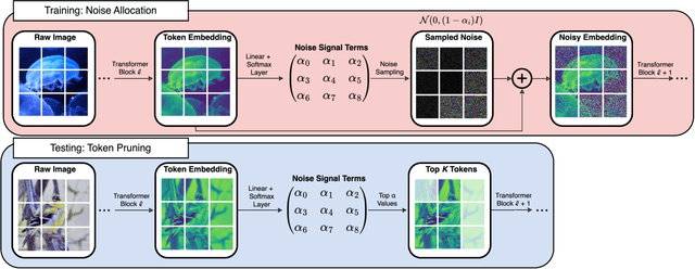 Figure 1 for Training Noise Token Pruning