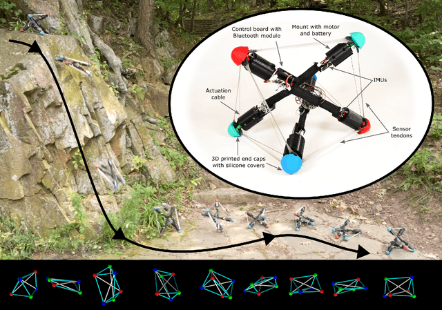 Figure 1 for Impact-resistant, autonomous robots inspired by tensegrity architecture