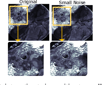 Figure 4 for Uncertainty-Aware Regularization for Image-to-Image Translation