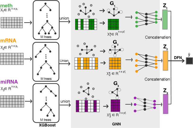 Figure 1 for MOTGNN: Interpretable Graph Neural Networks for Multi-Omics Disease Classification