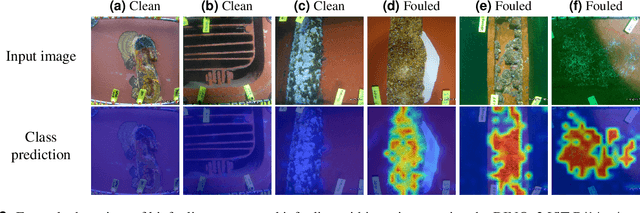 Figure 4 for An interpretable approach to automating the assessment of biofouling in video footage
