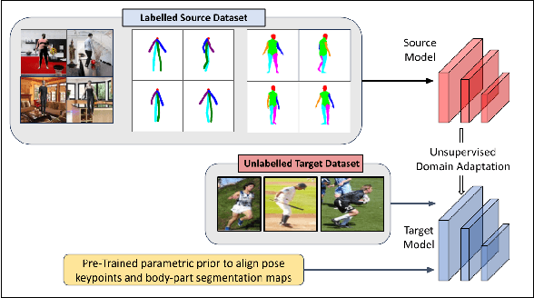 Figure 3 for POSTURE: Pose Guided Unsupervised Domain Adaptation for Human Body Part Segmentation